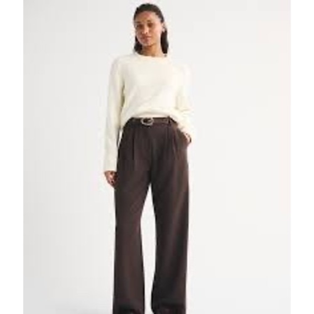 Abercrombie & Fitch Sloane Tailored Pant Women 29 Brown NEW Curve Love Wide Leg